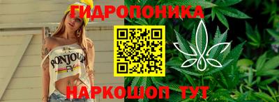 эйфоретик Канаш
