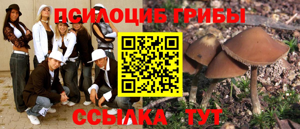 Псилоцибиновые грибы Psilocybe  Вход с VPN  Галлюциногенные грибы прущие грибы  Кыштым 