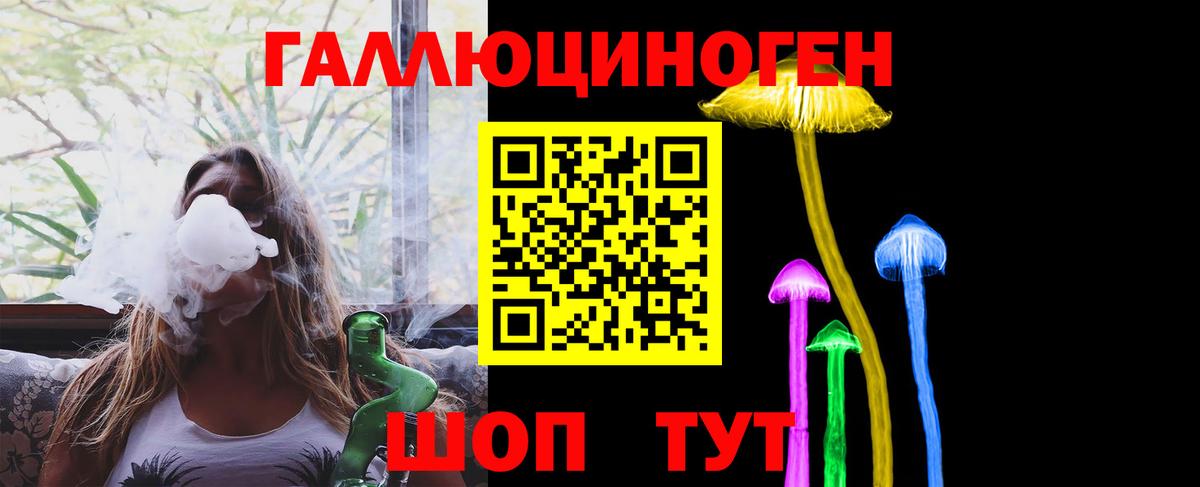 Псилоцибиновые грибы Cubensis Кыштым